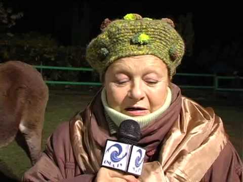 ONDA TG 20.11.2013 - ASINOMANIA ONOCOUNSELING