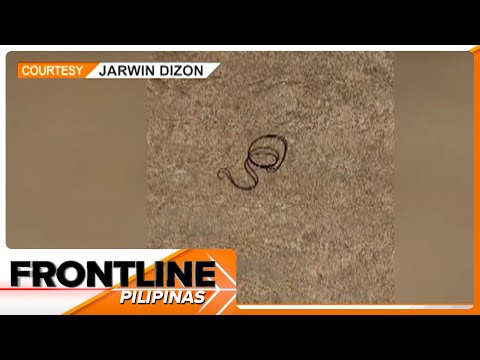 Bulateng parasite, naispatang lumalangoy sa tubig sa timba Frontline Pilipinas