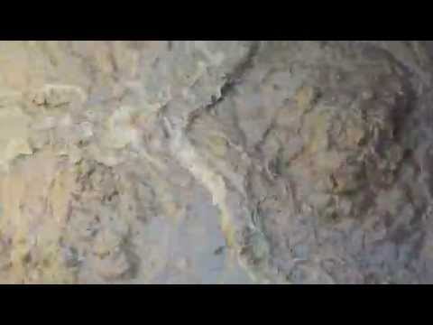 Waste Water Treatment Plant Wasted Old Sludge