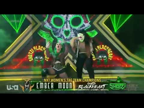 The Way vs Shotzi Blackhearts & Ember Moon - NXT tag team championship Street Fight Highlight