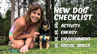 New Dog Checklist: Choosing Your Next Dog