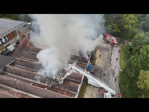 Münchwilen TG: Dutzende Einsatzkräfte bekämpfen Brand