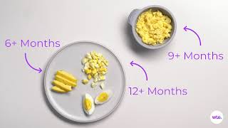Eggs - How to Feed Your Baby Safely