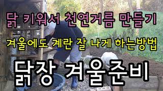 #전원주택 #귀촌후에 #닭 키우면  #천연거름 도 얻고 건강한 계란도얻고 #닭장 #겨울나기 #월동준비 #겨울…