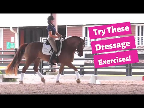 3 Dressage Exercises to Get Your Horse Moving Off Your Leg