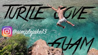 THE GANG GOES TO TURTLE COVE