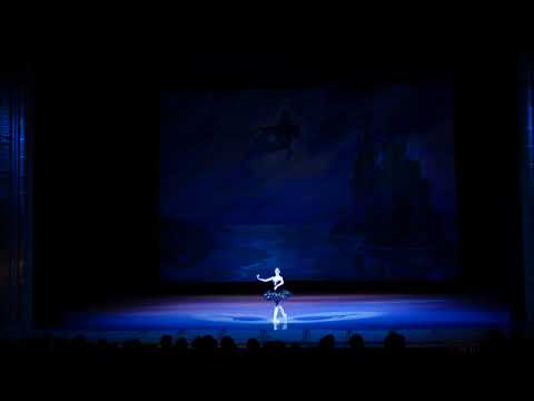 Black Swan pdd coda Jan Vana and Anna Muromtseva