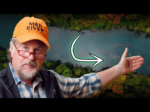 What Does it Mean to Swing Flies?