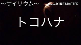 【ヲタ芸練習】　色々打ってみました。（ギルガメッシュ→烈剣→ゲイ・ボルグ改→ロマンス、航の紋章→航の紋章改→真航の紋章→摩耶改二）編集の魔術使って遊んでみた。動画三重、うちふたつ透明度上げてます
