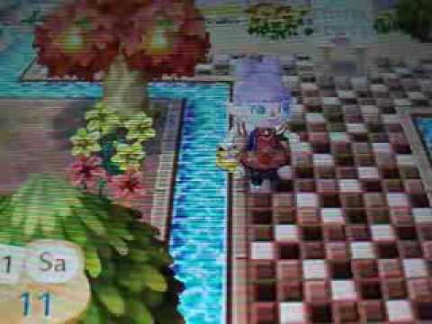 comment rembourser tom nook dans animal crossing ds