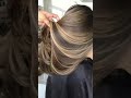 Highlights Hair Colour Transformation Hairstyle