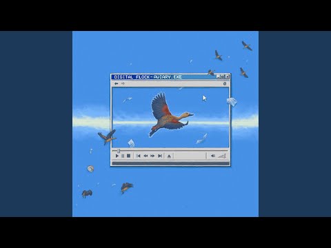 Raanee (feat. Iqyan Rafeeu)