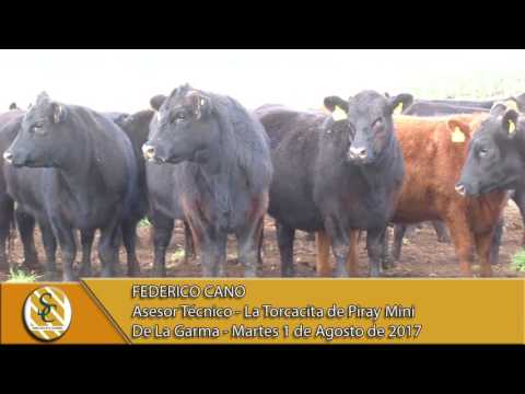 01-08-17 Nota Federico Cano - La Torcacita de Piray Mini - De La Garma