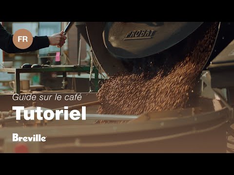 miniature vidéo