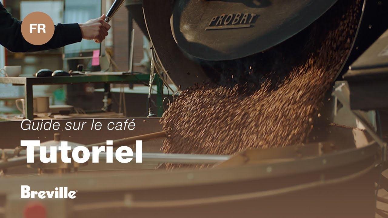 Guide didactique du café Breville - Choisir les bons grain