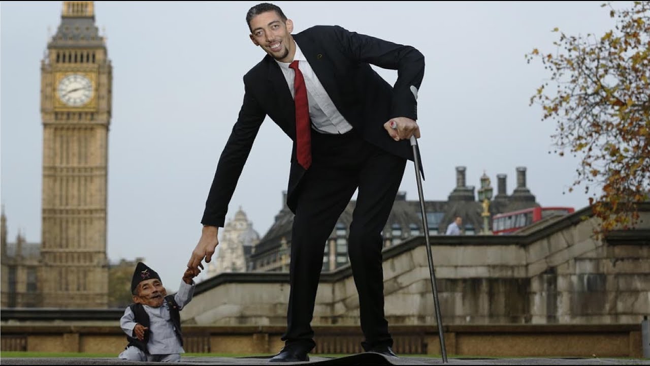 【驚愕】地球上に実在する巨人5選