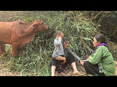 Single mother: My house was destroyed by cows and I was helped by a kind woman | Ly Thi Duyen
