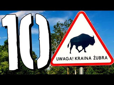 10 faktów o PODLASIU [TOPOWA DYCHA]