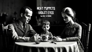 Meat Puppets - Violet Eyes (Dj ray-g remix)
