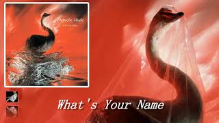 What's Your Name by Depeche Mode