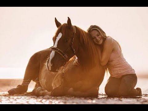 Abschied von Whisper - Mein Wildpferd am Strand - Mustang Makeover