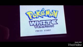 How to delete a pokemon white/black game data