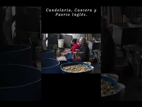 Las tres caletas que se llevó el tsunami 2010 Peninsula de Tumbes Talcahuano #biobio #chile #travel