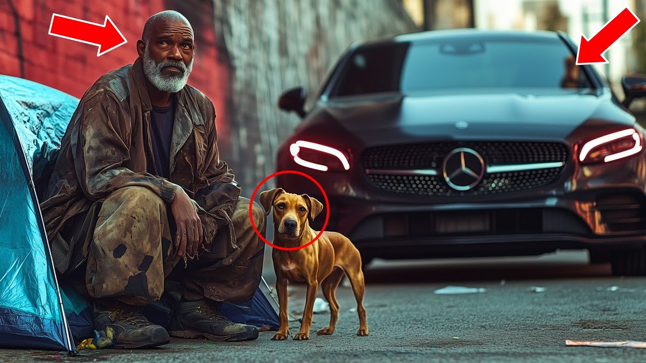 Black Beggar Rescues Starving Stray Dog, Weeks Later Two Black Mercedes Pull Up at His Tent…