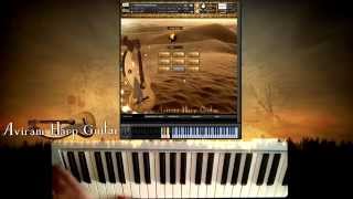 Aviram Dayan Production - Aviram Harp Guitar V1.0 (Preview)