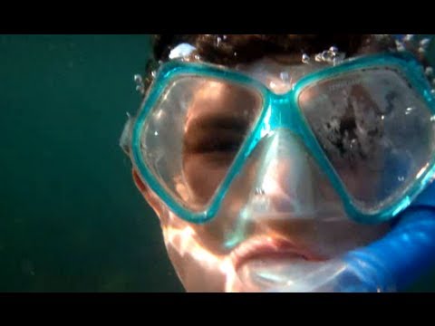 Snorkeling in Manly (Day 11)