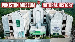 Pakistan Museum of Natural History | Dinosaur, Blue Whale, Lion | Vlog #11 By Muhammad Owais TV