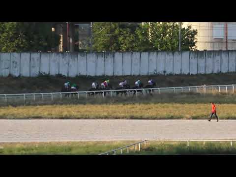 22.08.2021 - Trka PEHAR PREDSEDNIKA REPUBLIKE - Hipodrom Beograd