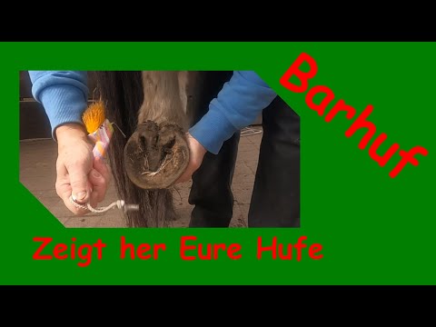 Barhuf - Hufe putzen. Hufe beurteilen, verbessern, erhalten!