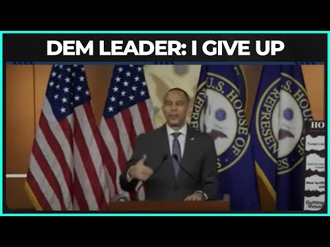 Democratic Party Leader Quits Mid Press Conference