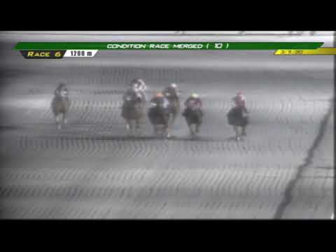 PRCI Race 6 -  March 11, 2020