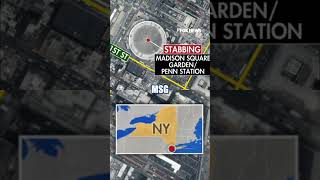 Download lagu Suspect in custody after stabbing six in Penn Station #shorts #us #news #foxnews #stabbing mp3
