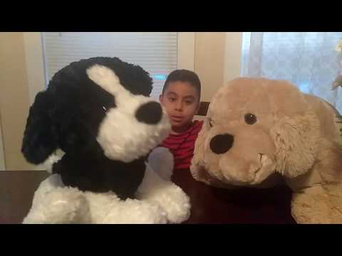 Mis Perros Famosos Max y Jack😎😁