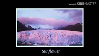 POP ETC - Speak up (Audio) #twilight