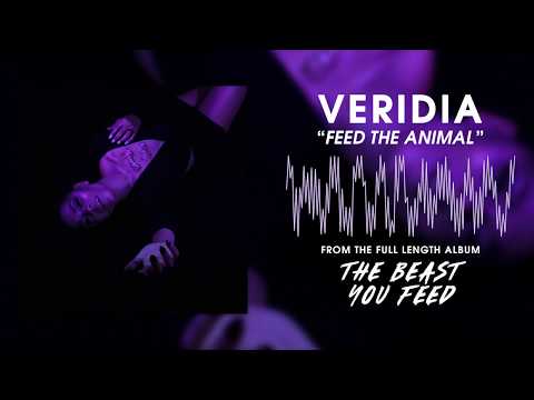 Video thumbnail for Feed the Animal