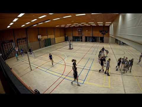 VCH DS2 - Compaen DS5