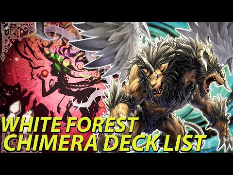 Stay Out of the Forbidden Forest | White Forest Chimera Deck List + Combos | Post Supreme Darkness