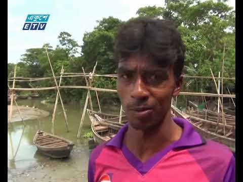 পয়লা অক্টোবর থেকে ২২ দিনের জন্য ইলিশ মাছ ধরা নিষিদ্ধ