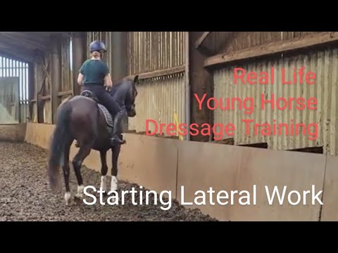 Starting lateral work - Real Life Young Horse Dressage Training - Leg Yield, Turn on the Forehand