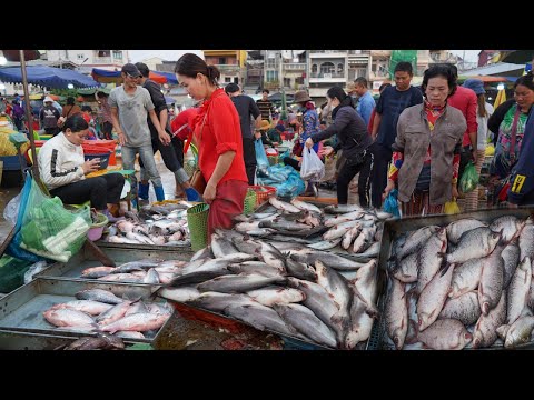 Cambodia Fish Market Scene - Second Site Distribute Fish, Dry Fish, Egg Fish & More in Early Morning