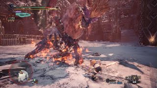 モンスターハンターワールド：アイスボーン_テオ　双剣