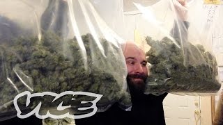 The Cash Crop: Canadian Cannabis