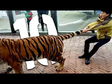 10 najgłupszych śmierci - nagrody DARWINA 12 [TOPOWA DYCHA]