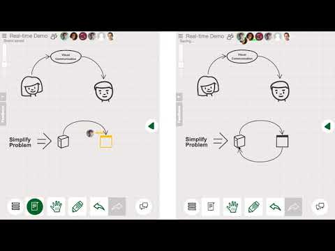 Video Image