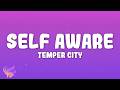 Temper City Self Aware