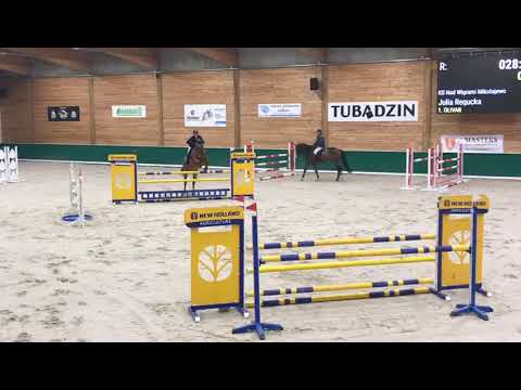 Olivar (Arezzo VDL x Ol Metta) 2019/11/24 ZR-B Salio - 120cm I SPRZEDANY / SOLD